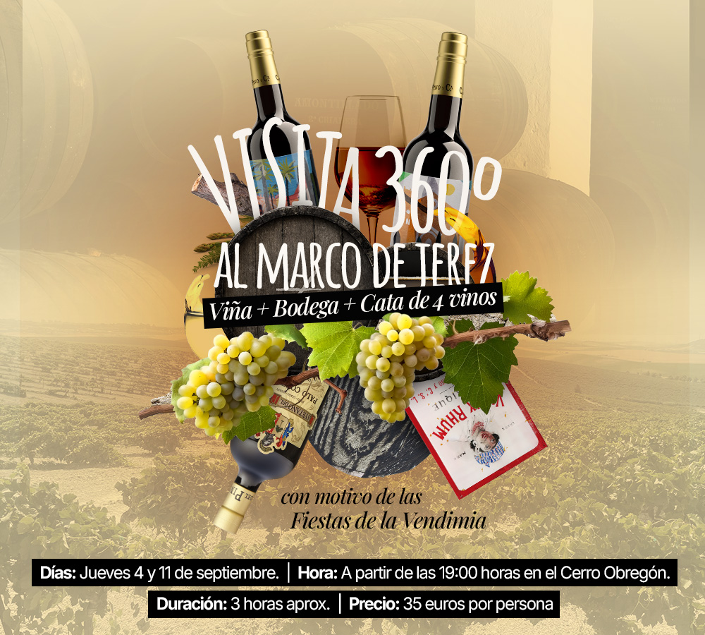 Visita 360º al marco de Jerez - Cayetano del Pino & Cía